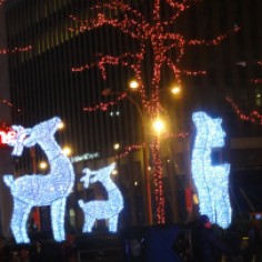 Reindeers bring more light to Sixth Avenue