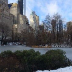 The day the pond in Central Park was frozen..