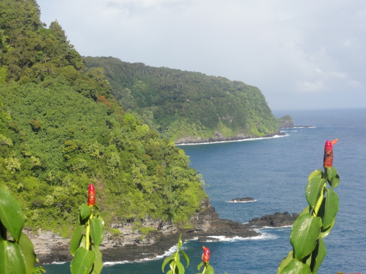 The winding drive along the road to Hana comes with gorgeous views.